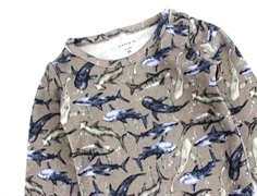 Name It fungi ocean body